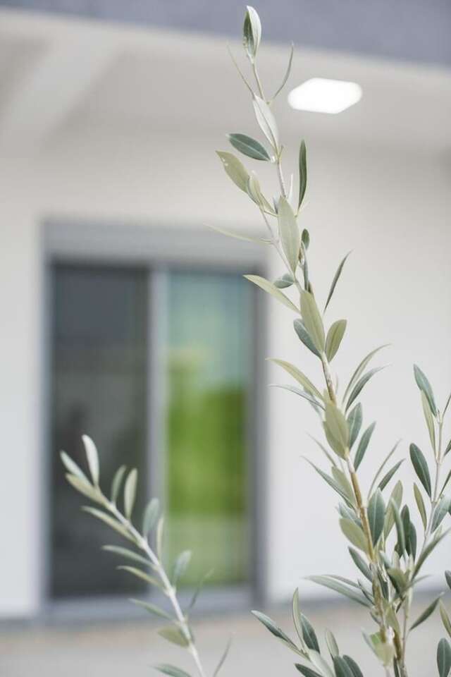 Апартаменты Zara Apartments Улцинь-37